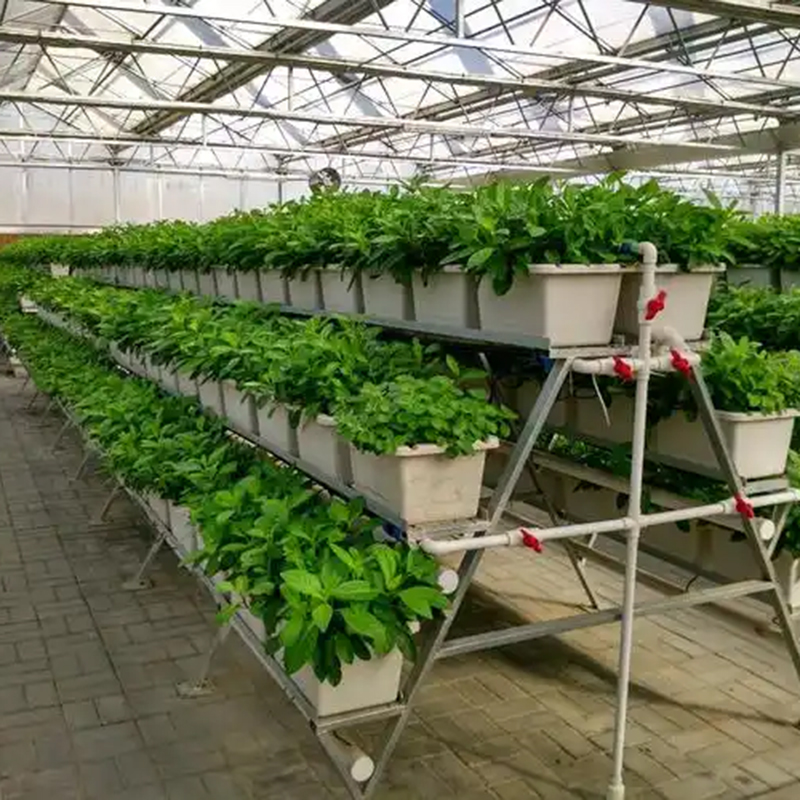 阿拉尔市植物工厂大棚 - 推荐