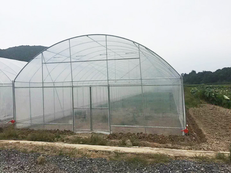 阿拉尔市薄膜大棚水培蔬菜 - 价格